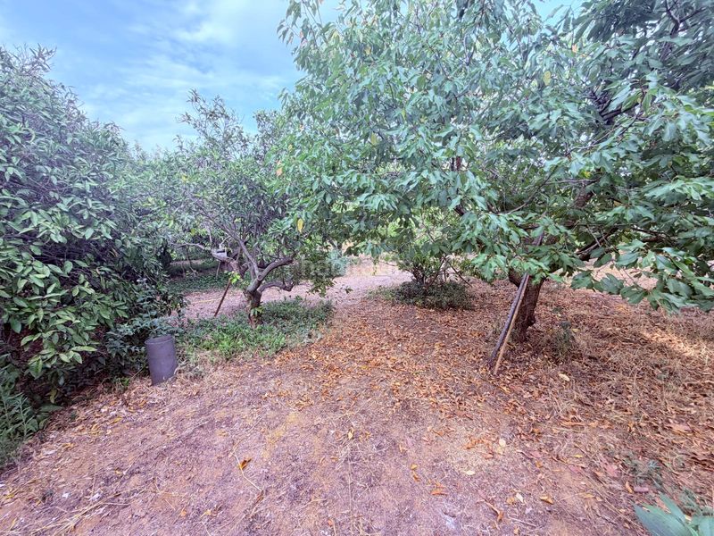 Foto c52cff6b-2024-42b3-8923-733e96eff7d6. Finca rústica en Riudoms