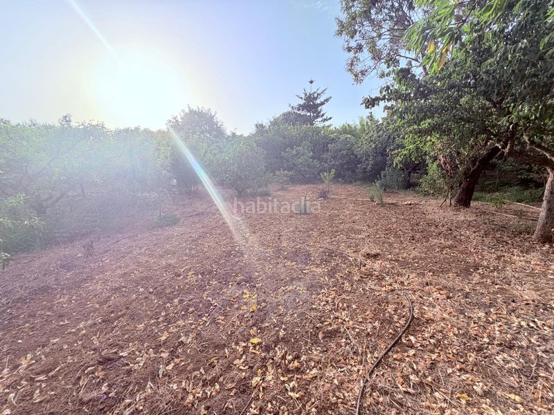 Foto e82476bc-8ec5-4a38-8e99-31949e5e7f51. Finca rústica en Riudoms