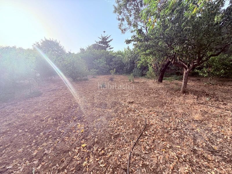 Foto f543a0f1-8727-4279-91eb-0185e1e7e363. Finca rústica en Riudoms