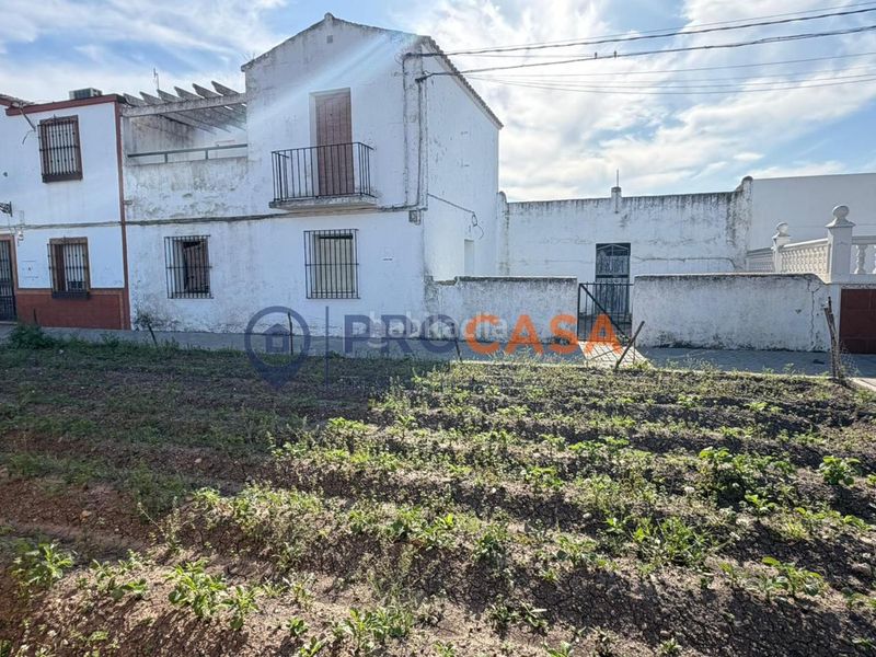 Foto f41b328b-639a-45e5-a84b-d1433aec1686. Casa  para reformar en Pedanías Sur Utrera