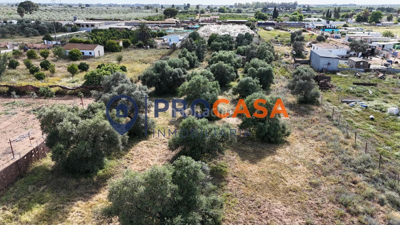 Foto c1076a55-0f39-47f6-bc1c-0c4e0e7e55f9. Terreny residencial a Pedanías Norte Utrera
