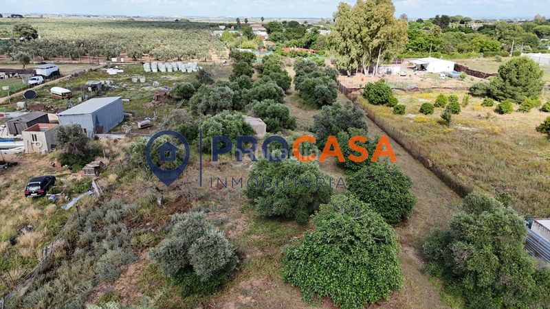 Foto c5e1fdee-4c04-47af-aa2a-9cb7d065479c. Terreny residencial a Pedanías Norte Utrera