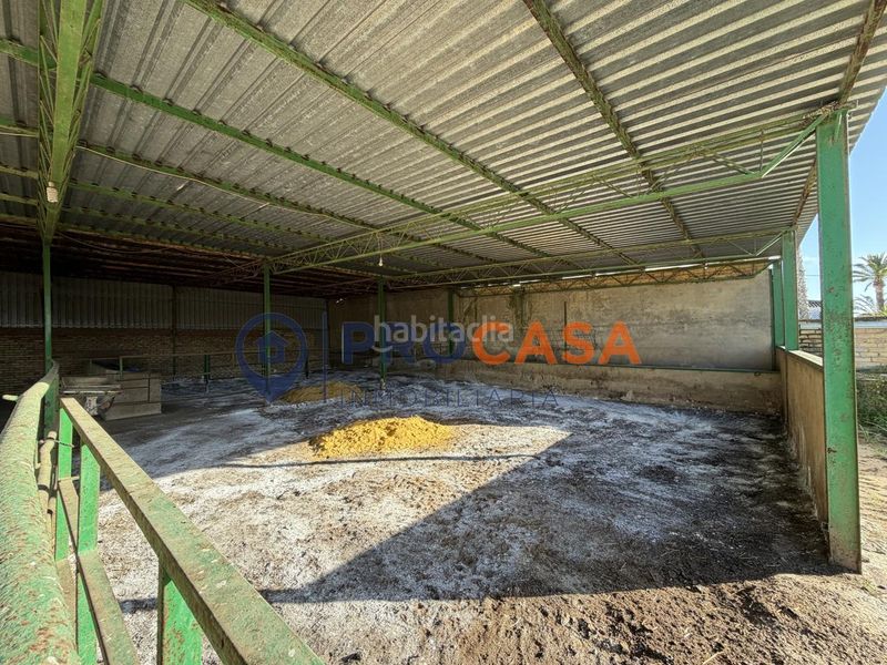 Foto 9578d097-fd83-4e80-b9bd-d94a7cf8c610. Terreny residencial a Pedanías Norte Utrera