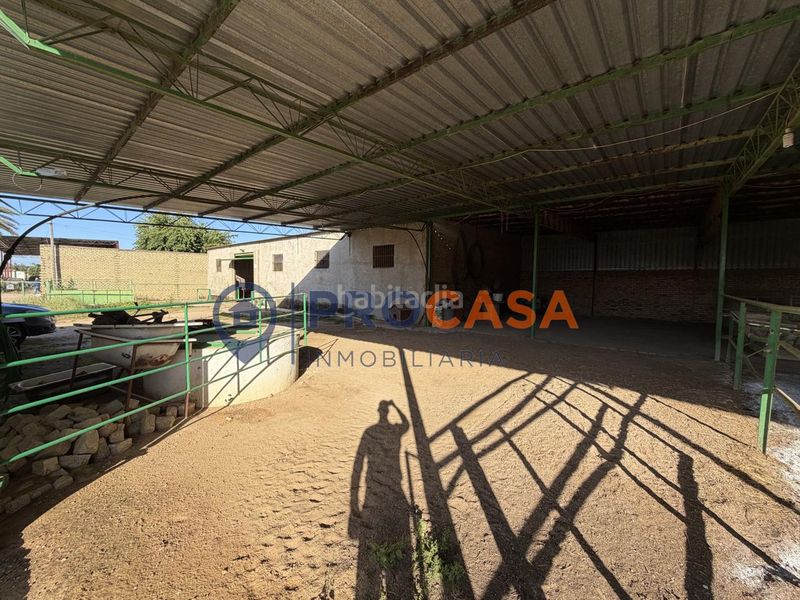 Foto adf72b44-6936-42f2-919a-94ed9fde76ea. Terreny residencial a Pedanías Norte Utrera