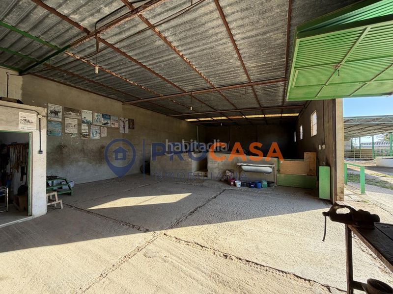 Foto e9d51bb2-df47-4a46-a746-62c4ae17b4c9. Terreny residencial a Pedanías Norte Utrera