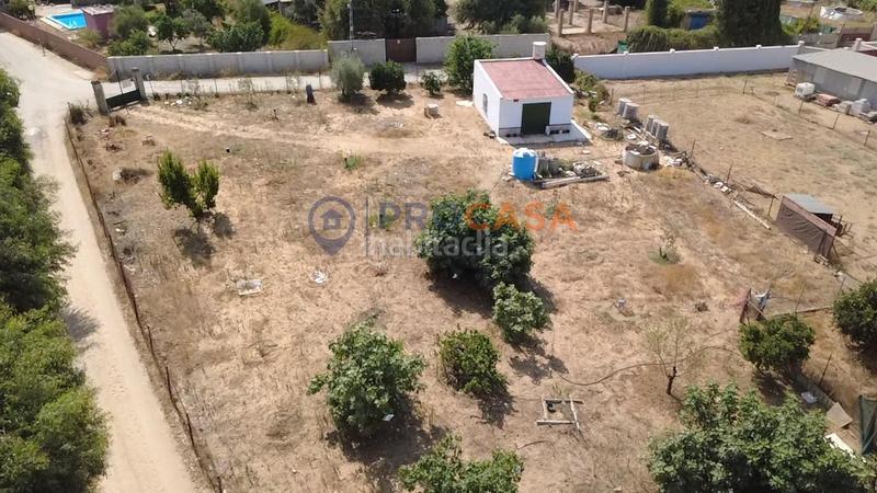 Foto 160b9fd3-122a-4d48-9275-be454e226b37. Bauernhof in Pedanías Norte Utrera