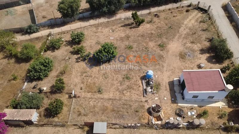 Foto 1868e9ed-1742-4377-a7dd-5f89be73a782. Bauernhof in Pedanías Norte Utrera