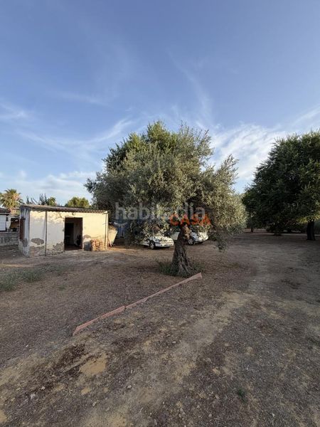Foto 5d6ba5e6-1407-4923-9f70-660c01b75c47. Masia a Pedanías Norte Utrera