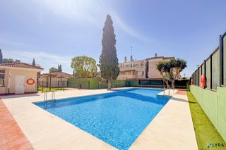 Miete Etagenwohnung  Avenida reina sofia 6. Piso 2 dormitorios con terraza, piscina y pádel en tomares