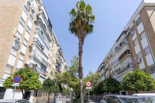 Pis a Calle primavera 14. Encantador piso totalmente reformado en distrito macarena