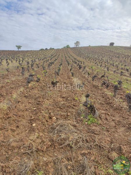 Foto 2ebe6b7c-b915-4306-98b6-235dac847842. Xalet a Camponaraya