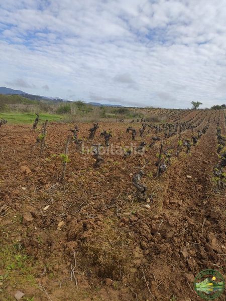 Foto 768b1b93-daa8-49ff-b4d4-9b1d297766ed. Xalet a Camponaraya