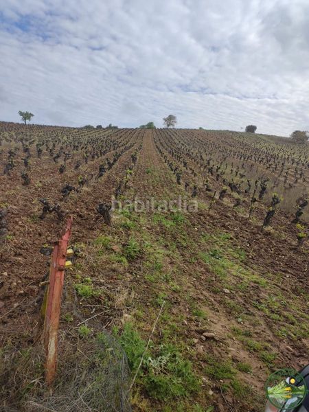 Foto b74c5880-f775-427f-b6aa-3fb75fa80d72. Xalet a Camponaraya
