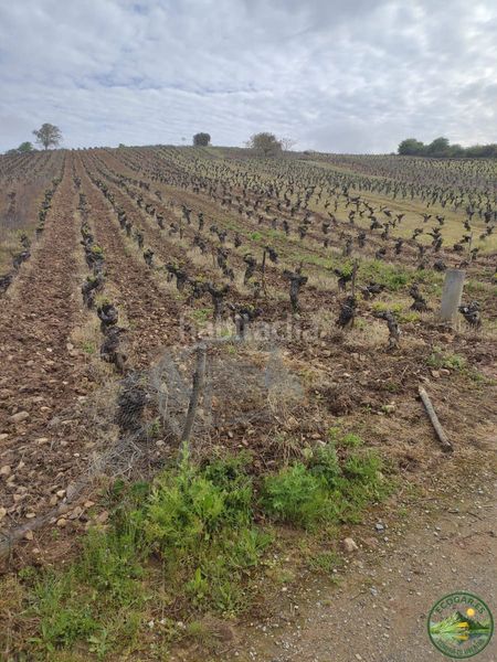 Foto eac4680e-78d6-4355-a954-81d49be29fc6. Xalet a Camponaraya