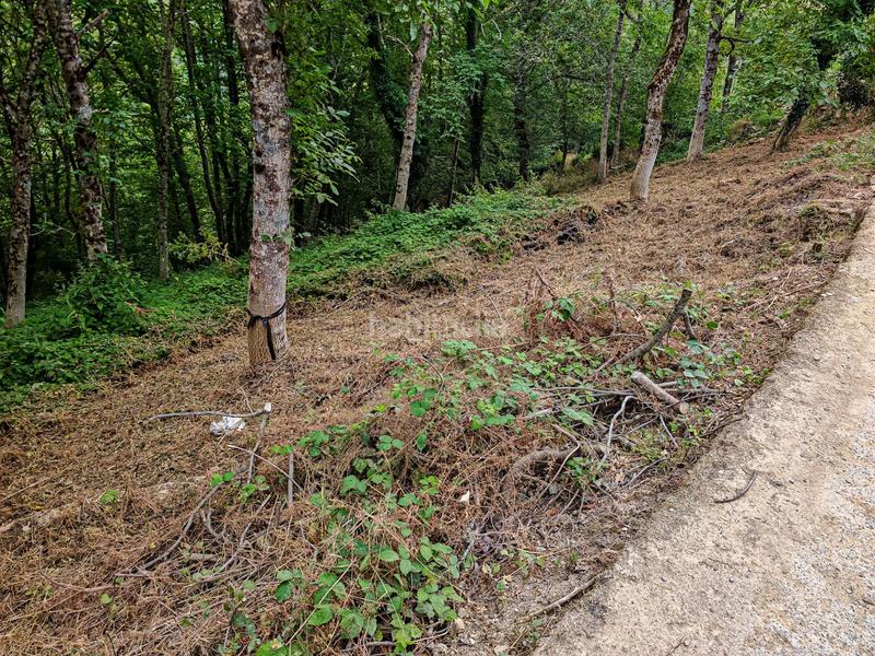 Foto 460add95-977a-4923-a8b4-7663bd4993ae. Mas dans Vega de Valcarce