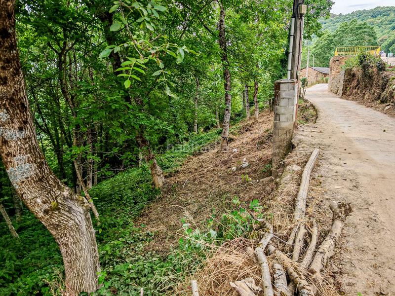 Foto 517ecb25-cd01-47d3-9416-1629349dd542. Mas dans Vega de Valcarce