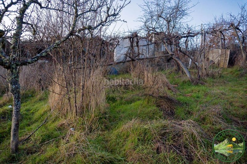 Foto b094ea5f-97b3-4da2-910d-32e536caf964. Casale in Bembibre
