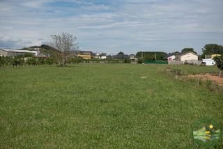 Terreny residencial a Camponaraya. Se vende finca rustica en narayola
