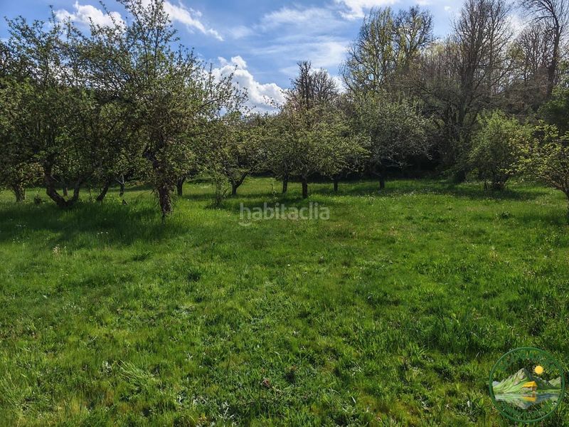 Foto d4009d0c-62b3-40dd-8044-7e4d8eb939b1. Wohngrundstück in Magaz de Cepeda