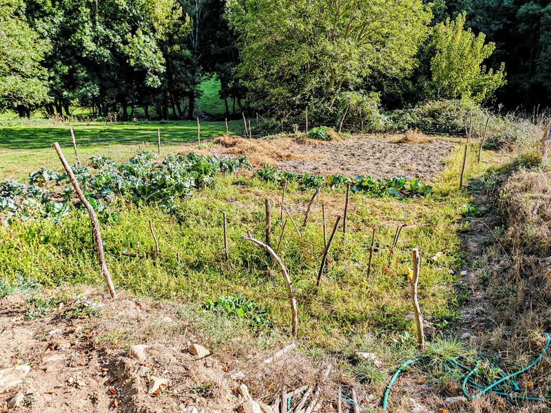 Foto b89fae2e-cce6-40f9-ad15-3db7c6aeac17. Maison avec chauffage dans Barjas