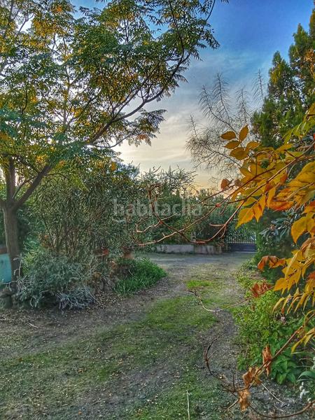 Foto 1270bb9d-b573-4de6-b1c9-38dce03e7ba6. Maison avec chauffage dans Pozuelo de Calatrava