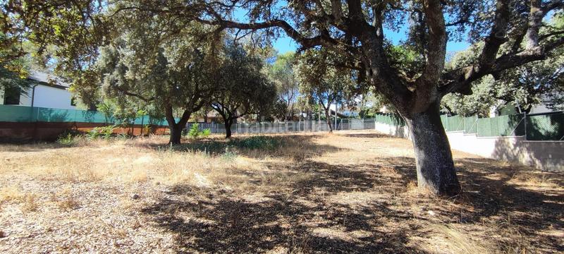 Foto efa5f3a4-2259-4463-b74c-f9f67a0b889d. Terrain résidentiel dans El Guijo-Colonia España Galapagar