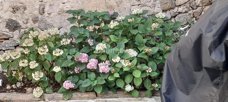Foto 56db7c23-36a4-44b3-a704-82f7c83b5caa. Masia amb calefacció a Turégano