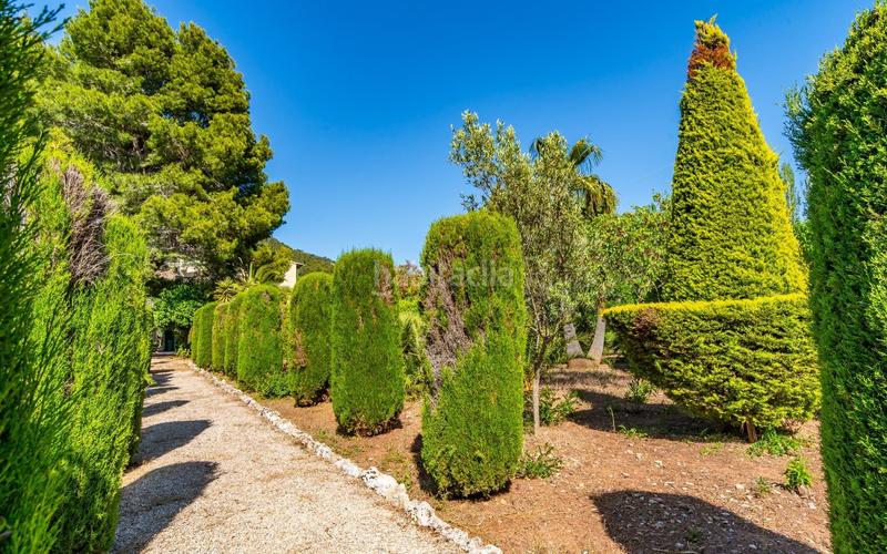 Foto 1f04a712-b606-4816-a76c-f596f80b476c. Affitto casa con riscaldamento parcheggio piscina in Valldemosa