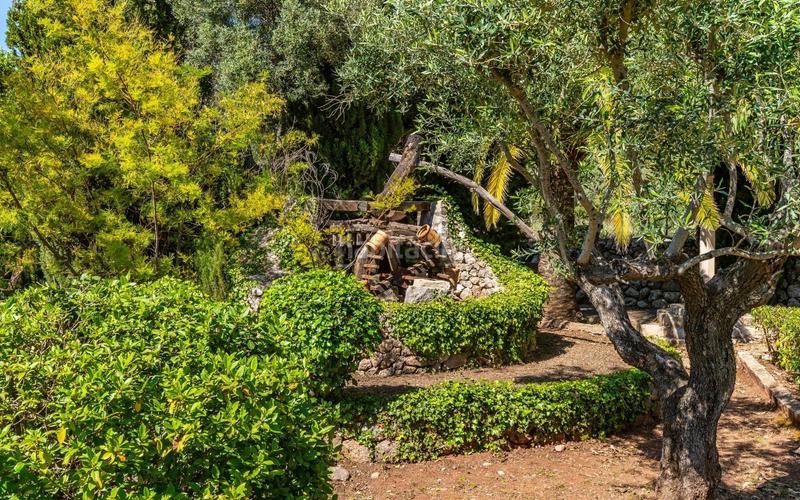 Foto e7ce0fe5-7656-48e7-b598-d1b9cfa50bea. Affitto casa con riscaldamento parcheggio piscina in Valldemosa