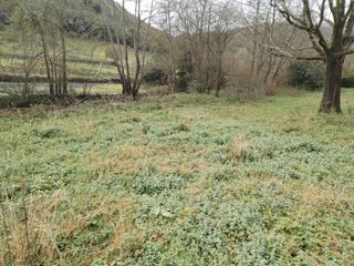 Terreny residencial  Barrio san miguel aras 42. Gran terreno urbanizable