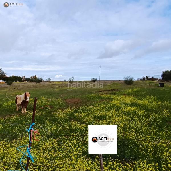 Foto 198b58e0-853c-4394-95ef-0912e16dc120. Finca rústica a Casco Antiguo Cáceres