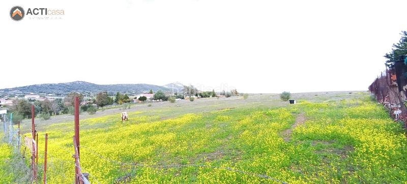 Foto a06a4152-bf7e-45ed-b22f-2df01794a200. Finca rústica a Casco Antiguo Cáceres