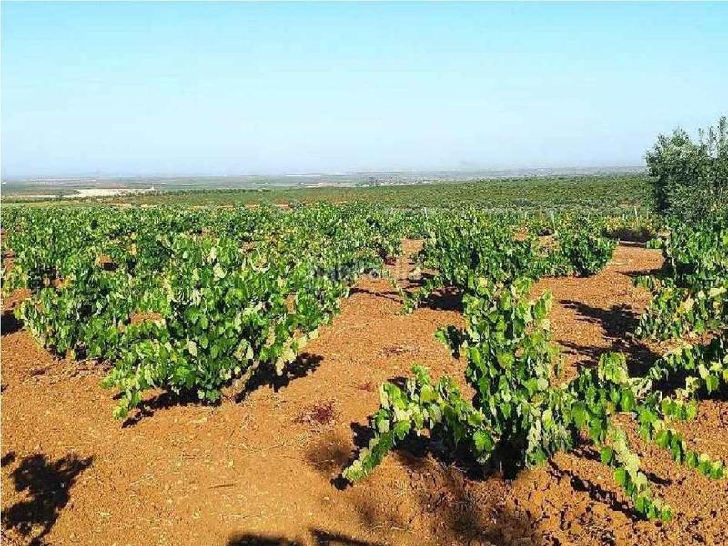 Foto 3d3c0329-1ed4-4684-9491-e62836583336. Mas dans Santa Marta