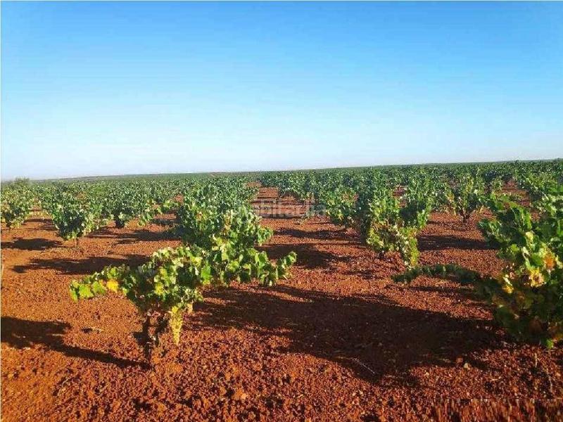 Foto 410eba48-3caf-40a6-b86b-a450081bdd10. Mas dans Santa Marta