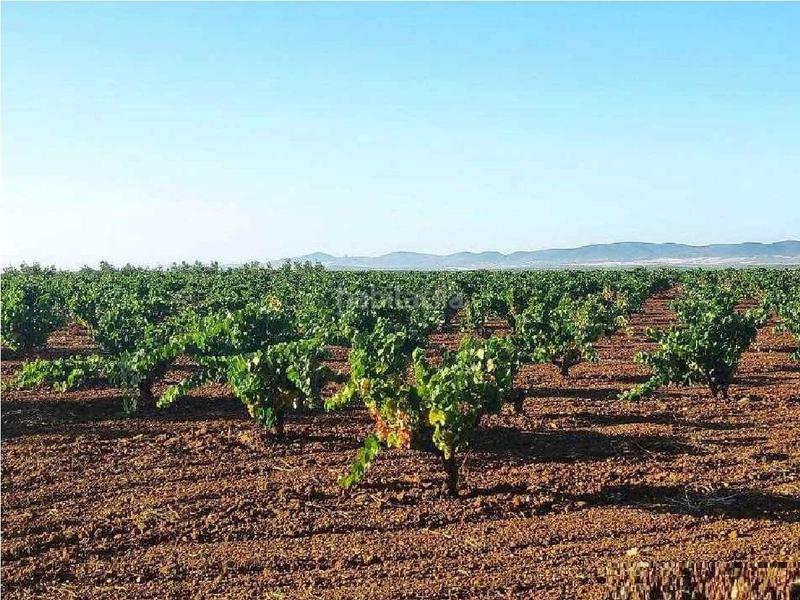 Foto 79cbb28c-4f63-4531-b0d6-a43c4b5939fc. Mas dans Santa Marta