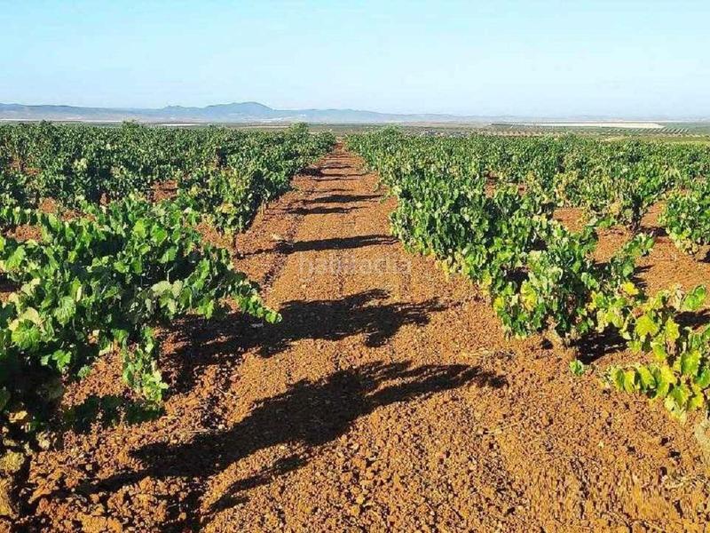 Foto 83b41db4-3ce3-4965-b2ee-230422a2f8d2. Mas dans Santa Marta