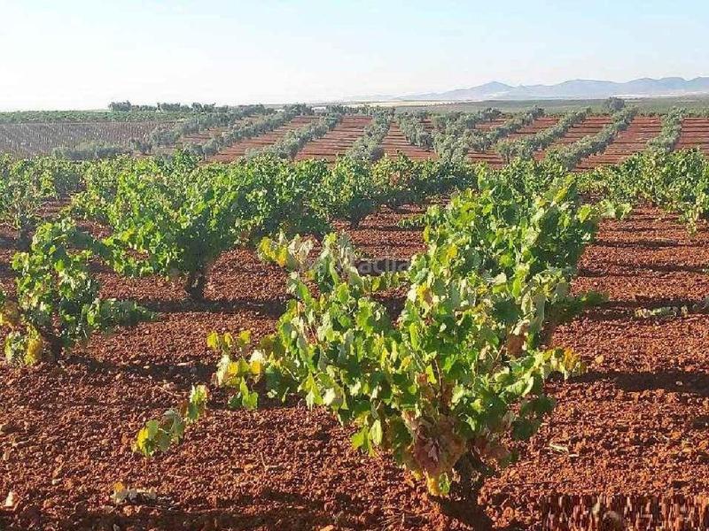 Foto a0b2b56f-13c3-4874-bea9-1c9e5c00b6b0. Mas dans Santa Marta