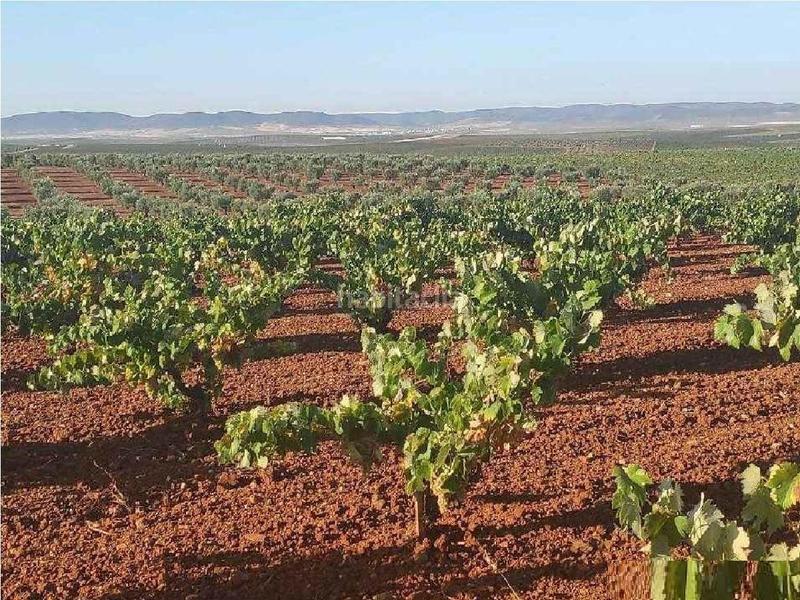 Foto a589e990-2d69-4268-99ae-c9eab8202c09. Mas dans Santa Marta