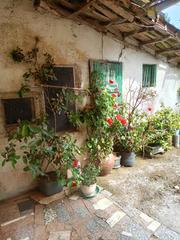 Casa a schiera  Rúa da virxe de fátima 8. Rúa virxe da fátima , santiago de compostela