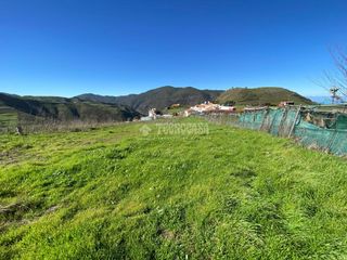 Finca rústica  Camino del palo. Terrenos en venta en gáldar