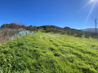 Fondo rustico  Camino del palo. Terrenos en venta en gáldar