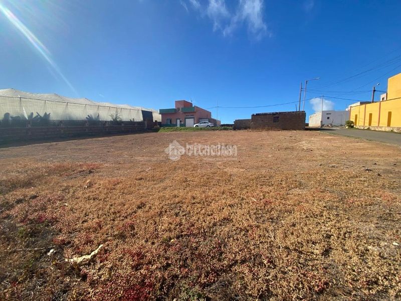 Foto 7ef816e1-d535-4927-9176-42c7ab39fd83. Finca rústica a Sardina Gáldar