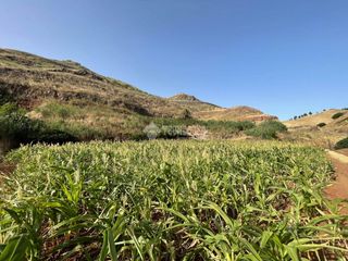 Fondo rustico  Calle gc-702. Terrenos en venta en gáldar