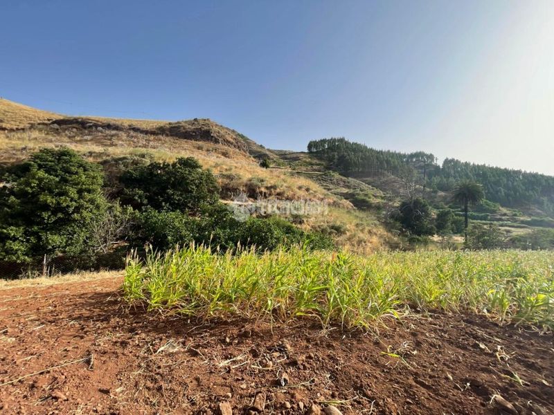 Foto 55f49d49-3c81-4468-b7a1-9d9796c0a7c2. Finca rústica a Saucillo - Fagajesto - Juncalillo Gáldar