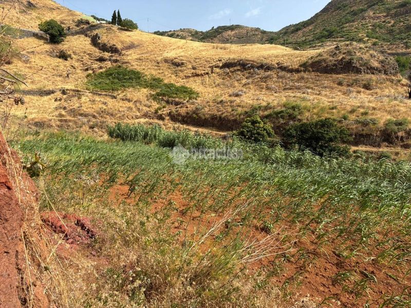 Foto a253c26b-8718-4ff8-9228-42eee622a6e7. Finca rústica a Saucillo - Fagajesto - Juncalillo Gáldar