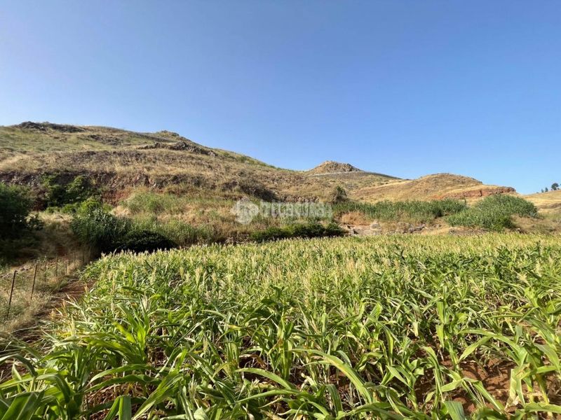 Foto a7aea53b-395e-43f6-8571-e52af0a79a9a. Finca rústica a Saucillo - Fagajesto - Juncalillo Gáldar