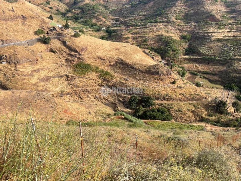 Foto afec34db-1fa0-4223-b844-369136e4cd25. Finca rústica a Saucillo - Fagajesto - Juncalillo Gáldar