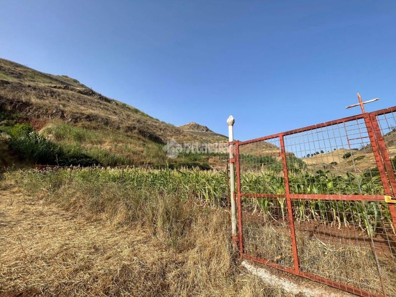 Foto d2b11543-394e-4cf2-99fc-625606a9c62d. Finca rústica a Saucillo - Fagajesto - Juncalillo Gáldar