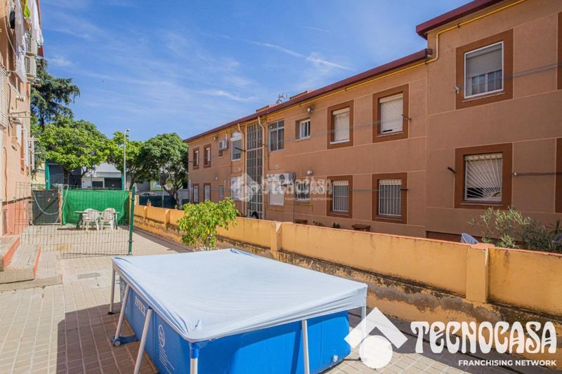 Foto 449a1f15-2f85-4c02-b1c5-9c369fde8c8b. Pis a Pomar Badalona