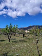 Masia a Senés. ?? una compra inteligente: disfruta de tu propio cortijo mientra